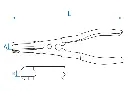 9BC11.webp